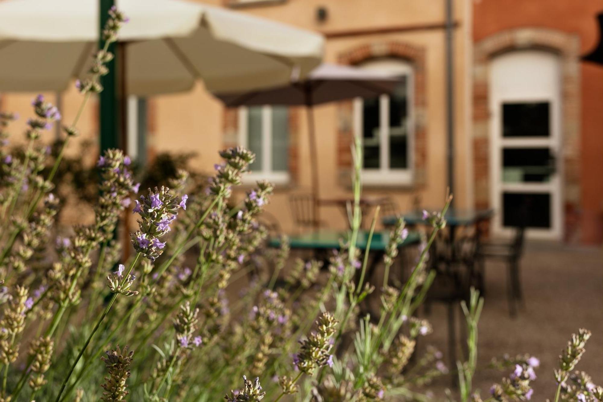 Ibis Styles Toulouse Lavaur Lavaur (Tarn)